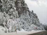 Servicio quita nieves