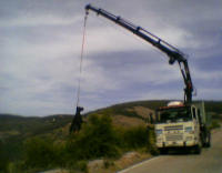 Recuperaci&oacute;n de cad&aacute;veres de animales.
